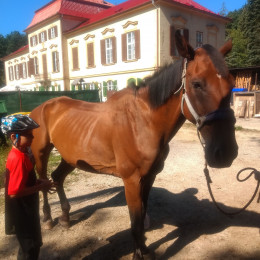 Letné ródeo Trenčín